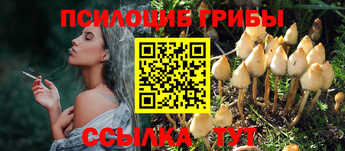 Галлюциногенные грибы Psilocybine cubensis Владикавказ
