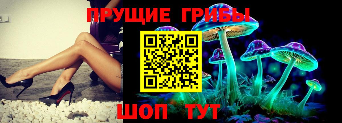 Псилоцибиновые грибы прущие грибы  Вход с VPN  Владикавказ  Галлюциногенные грибы Cubensis 